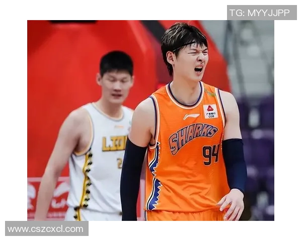 深入解析上海篮球队进攻战术与球员配合的秘密与技巧