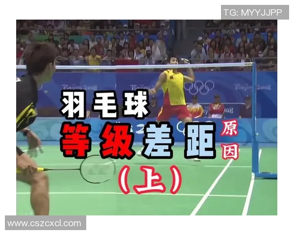 羽毛球意识排行榜揭晓上海羽毛球队荣登第五名展现强大实力